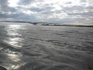 DSCN1711 